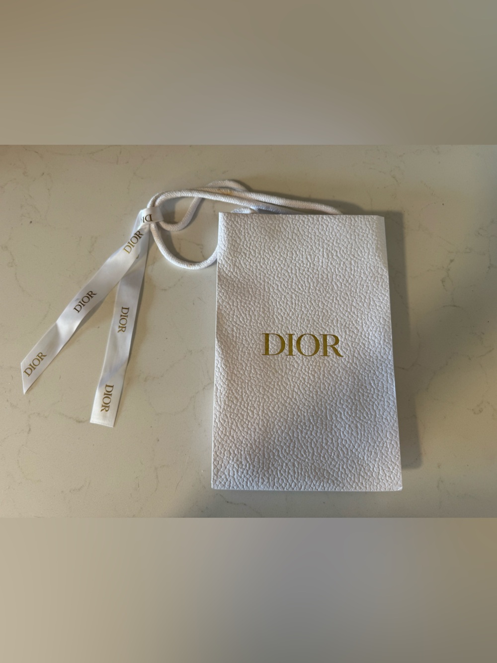 Small Dior Shopping Bag